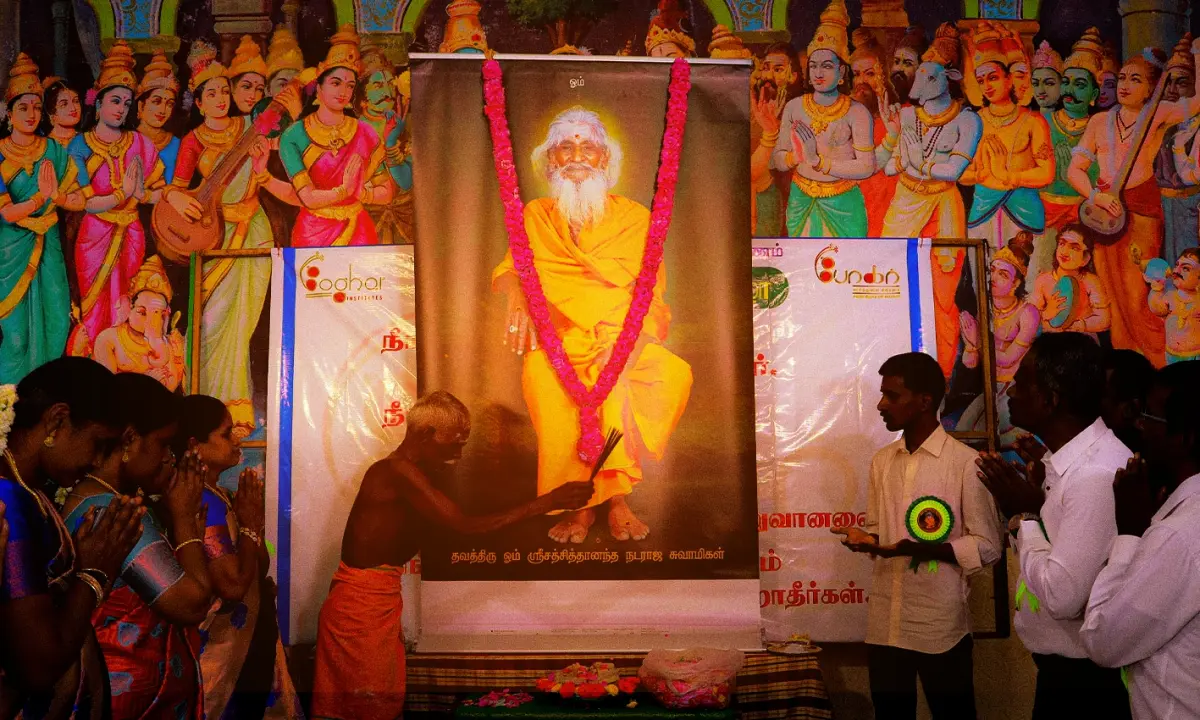 Boghar Education Academy: Advanced Courses in Acupuncture, Naturopathy & Holistic Healing