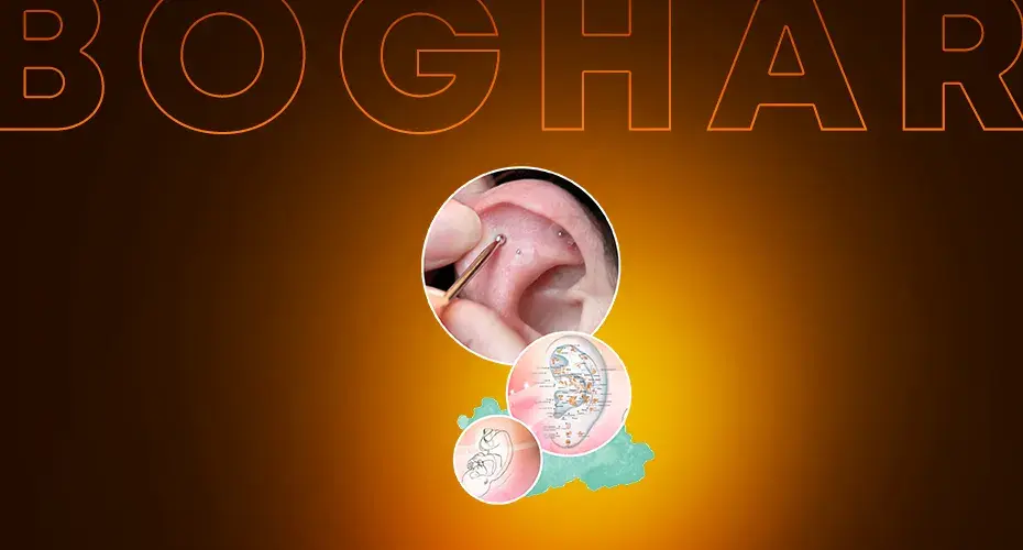 Boghar Education Academy: Advanced Courses in Acupuncture, Naturopathy & Holistic Healing