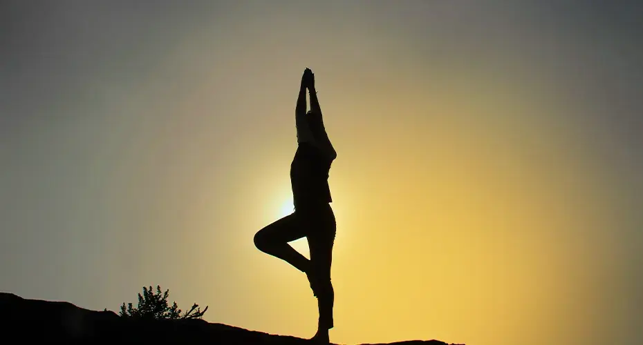 Boghar Education Academy: Advanced Courses in Acupuncture, Naturopathy & Holistic Healing