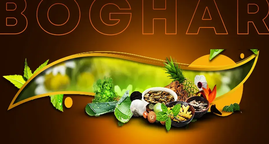 Boghar Education Academy: Advanced Courses in Acupuncture, Naturopathy & Holistic Healing