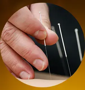 Boghar Education Academy: Advanced Courses in Acupuncture, Naturopathy & Holistic Healing