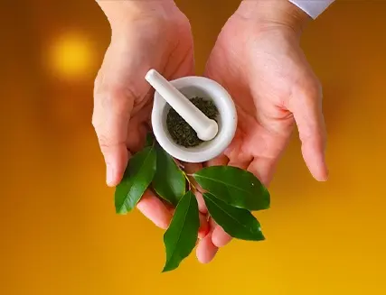 Boghar Education Academy: Advanced Courses in Acupuncture, Naturopathy & Holistic Healing