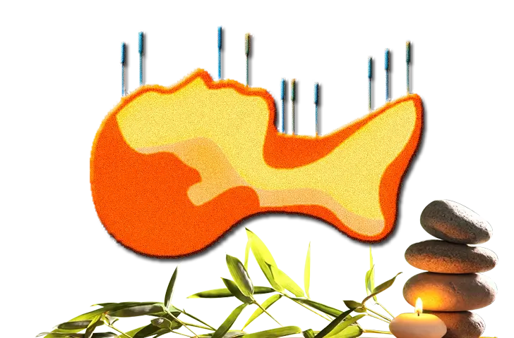 Boghar Education Academy: Advanced Courses in Acupuncture, Naturopathy & Holistic Healing